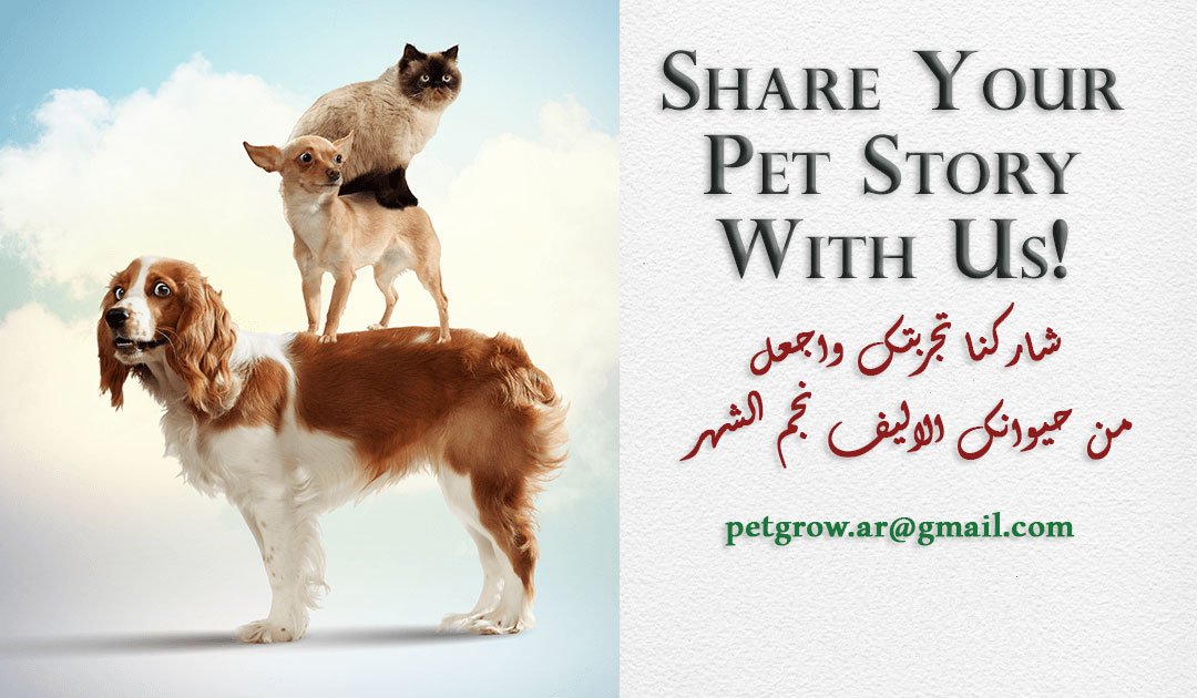 شاركنا تجربتك