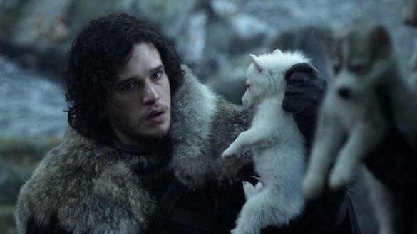 كلاب مسلسل Game of Thrones