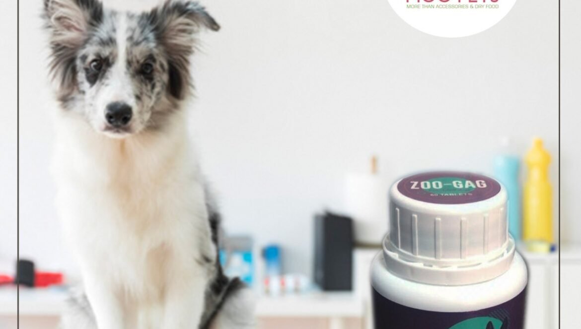 زو-جاج أفضل فيتامين للكلب
