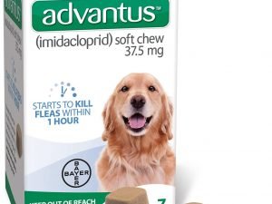 advantus