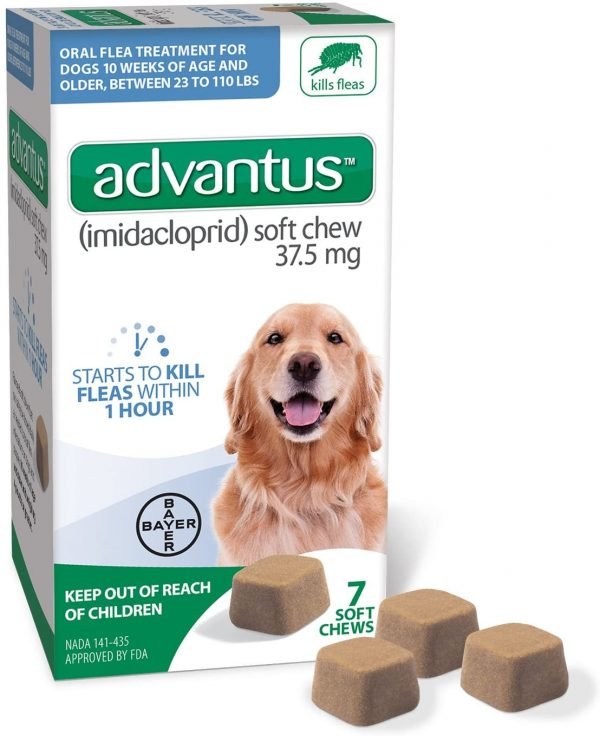 advantus