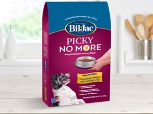 food for dogs